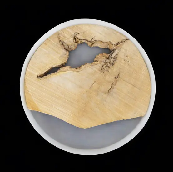 12 INCH ROUND SILICON MOULDS + WOODEN LOGS (COMBO PACKS)